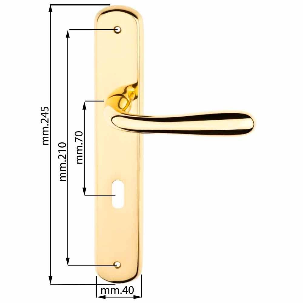 Maniglia con placca oro lucido mm.70 mod. GOCCIA per porte interne 